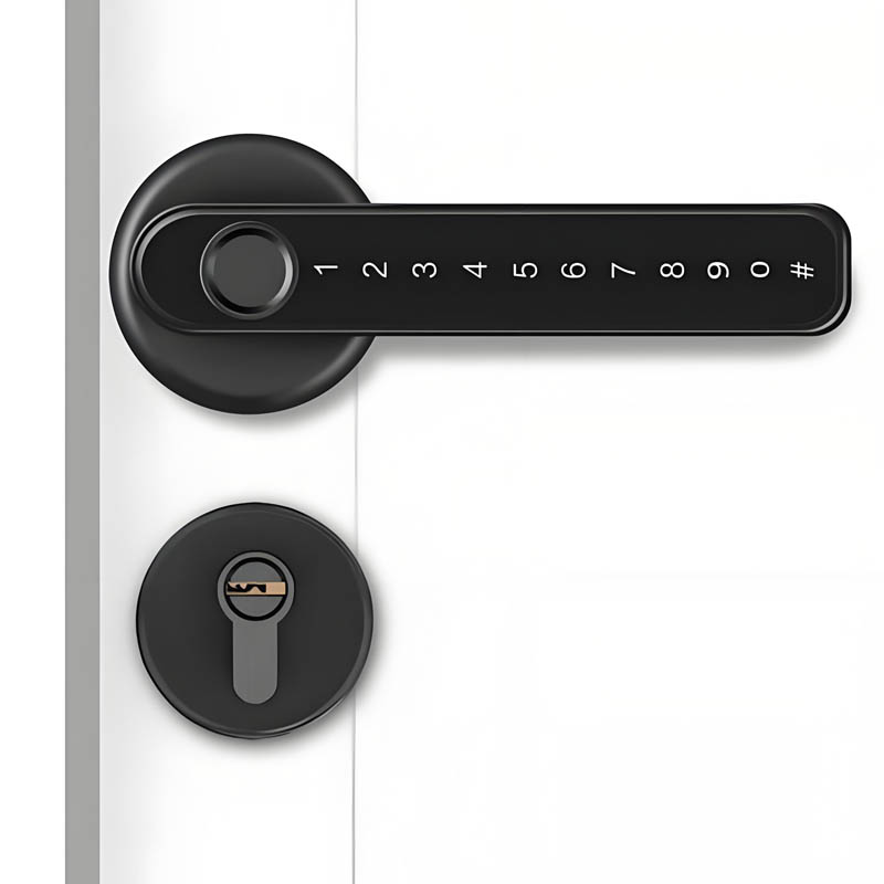 Smart Door Lock Handle